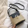 ChicBreeze Small straw embroidery bags for women-Elly Rose