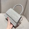 Glow Silver Bright luxury pouch-Elly Rose